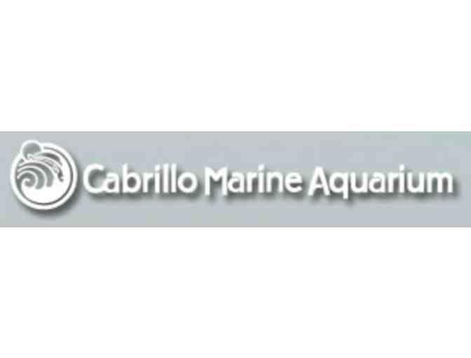 One Year Family Membership to Friends of Cabrillo Marine Aquarium - Photo 1