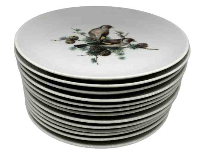 Mottahedeh Design Birds Salad Plate 7.75' White, Set of 12
