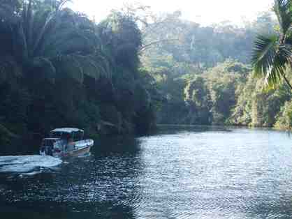 2 Days and 3 Nights Fishing Package at Belcampo Belize