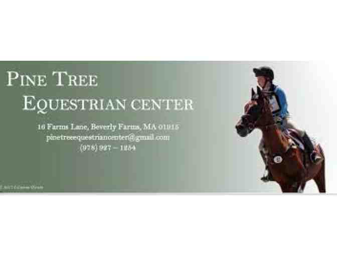 One half hour private lesson @ Pine Tree Equestrian Center - Value $55