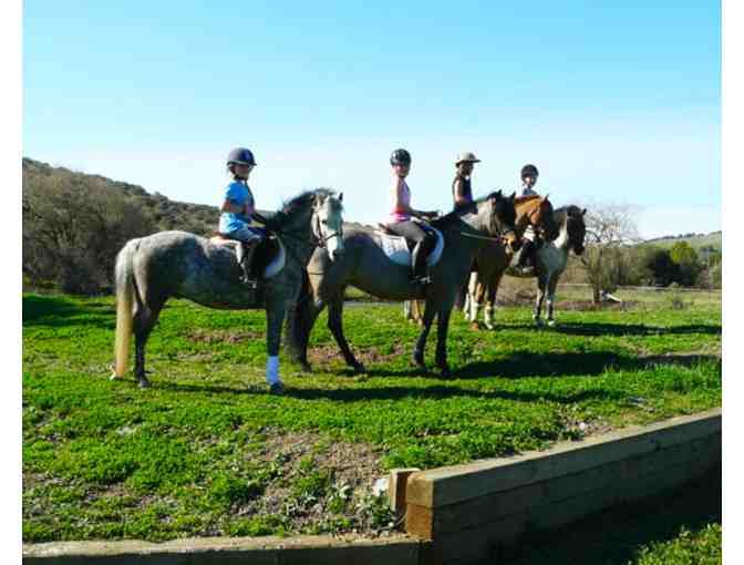Horseback Riding Lessons For Three (3) Kids