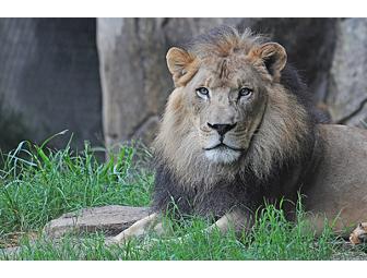 NC  Zoo Family Membership