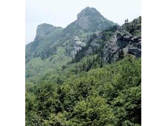 Grandfather Mountain Admission for 4