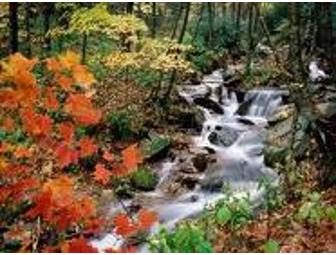 Grandfather Mountain Admission for 4