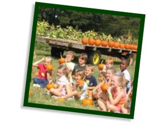 Maize Adventure General Admission Tickets