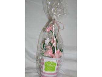 Little Girls Hairbow Set