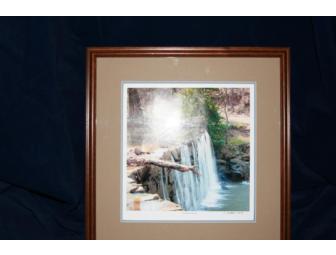 Point of View Art Gallery Framed Art