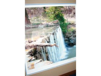 Point of View Art Gallery Framed Art