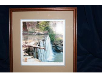 Point of View Art Gallery Framed Art