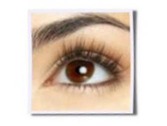 Deja Groove Brow Make-Over