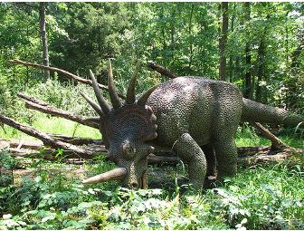 Museum of Life and Science - Durham