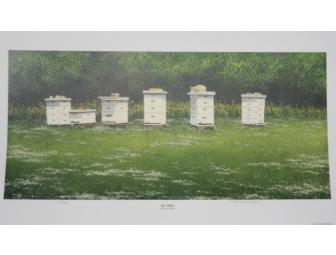 'Spring Series' Bee Alive Print by Timothy Wayne Shepherd