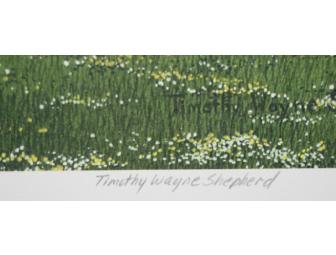 'Spring Series' Bee Alive Print by Timothy Wayne Shepherd