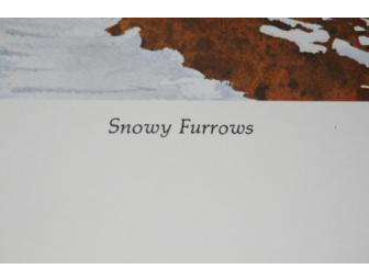 Snowy Furrows Print by Timothy Wayne Shepherd