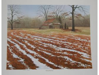 Snowy Furrows Print by Timothy Wayne Shepherd
