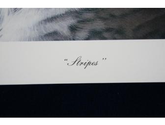 Stripes Print by Artist Spencer Williams