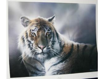 Stripes Print by Artist Spencer Williams