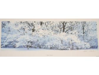 Winter's Touch Print by Artist Stephen Sebastian