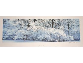 Winter's Touch Print by Artist Stephen Sebastian