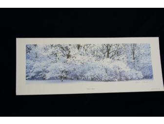 Winter's Touch Print by Artist Stephen Sebastian