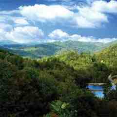 Dr's. David & Rosemary Stein