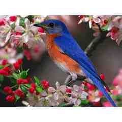 Kevin and Gina Miller