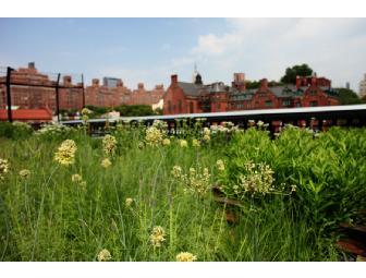 Highline Picnic for 2 by Zampa Winebar & Kitchen