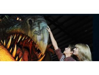 Christmas in CA: How To Train Your Dragon Live Spectacular! 4 VIP TIX & BACKSTAGE TOUR