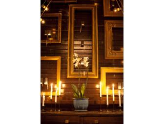 Party Perfect: BAKED NYC Cake, Event Design Consult and Photography Services