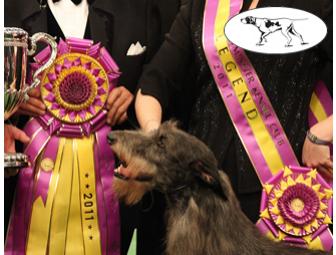 4 VIP SUITE SEATS - 137th Annual Westminster Dog Show at Madison Square Garden