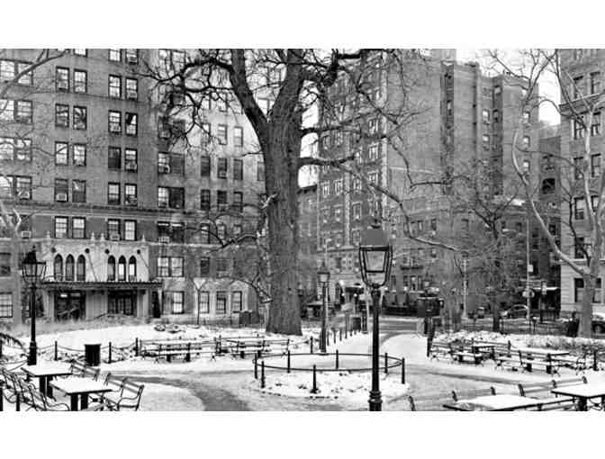 New York Arbor by Mitch Epstein signed by the renowned photographer