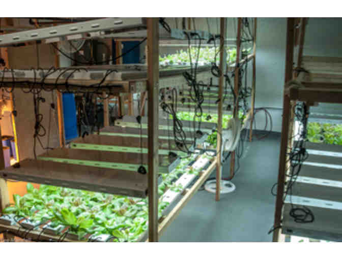 ECO Package: Boswyck Farms Hydroponic Workshop and Tickets to the BGT Benefit