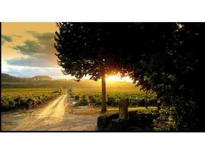 Luxury Wine Trip to Spain for Two