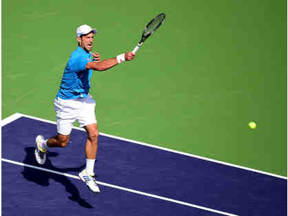 World #1 Novak Djokovic Collector's Set
