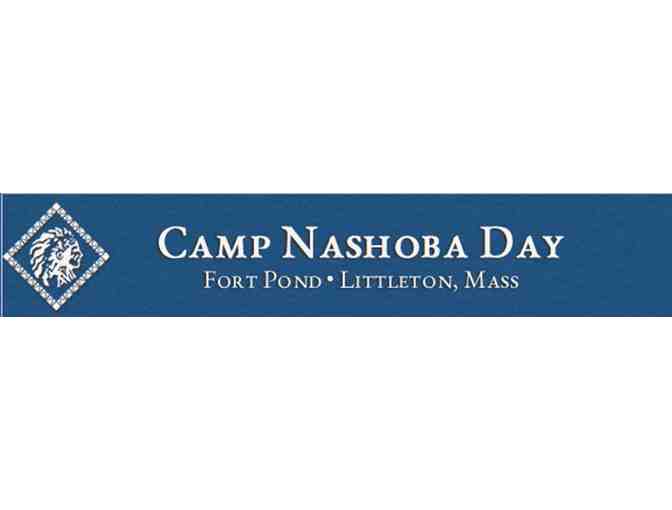 Two weeks at Camp Nashoba for lucky new camper girl or boy (ages 4-12) , August, 2014
