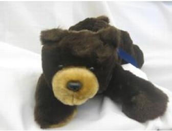 1950 Football Program, Cal vs. University of San Francisco and stuffed brown bear toy