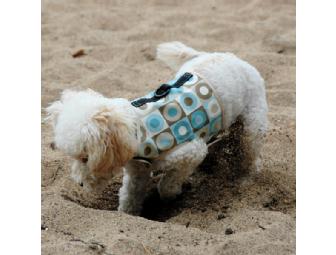 Gift certificate for one Frannie's small dog harness