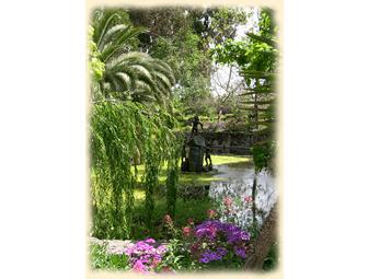 04 - VIP Tour & Tasting for Four & A Bottle of Syrah  from Cline Cellars