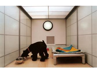 A Weekend Getaway For Your Dog At Citizen Caine