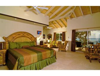 Seven (7) Night Caribbean Resort Accomodations - Palm Island Resort