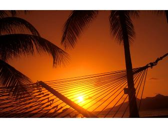 Seven (7) Night Caribbean Resort Accomodations - Palm Island Resort