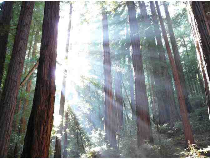 Two (2) Seats on a Muir Woods & Sonoma Wine Country Tour