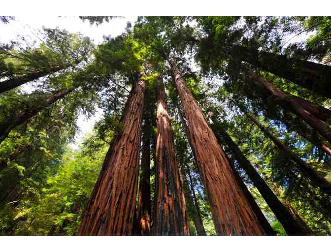 Two (2) Seats on a Muir Woods & Sonoma Wine Country Tour