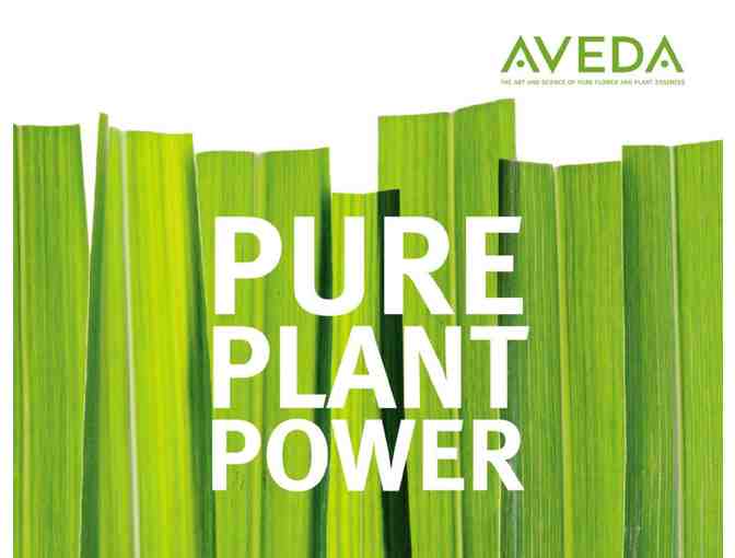 Aveda Wellness & Beauty Event for Five (5)