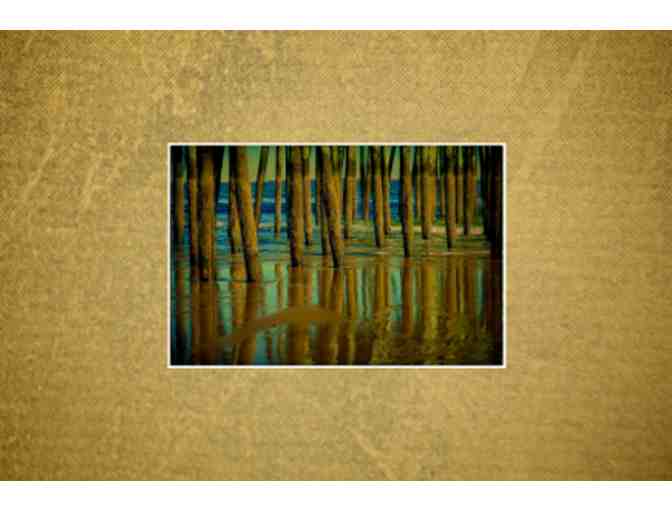 Gift Certificate for a Limited Edition 12-Inch Fine Art Print