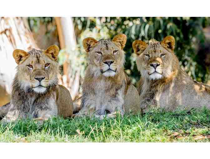 Oakland Zoo - Family Day Pass (2 Adults, 2 Children) + Parking