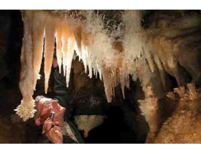 Cave & Mine Adventures - Black Chasm Cavern Family Walking Tour