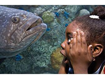 Family pack tickets for the Aquarium of the Pacific