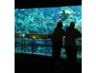 Family pack tickets for the Aquarium of the Pacific