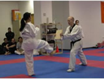 Taekwondo classes -- for adults or youth